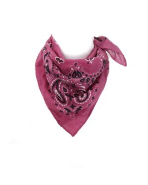 100% Kaschmir Bandana F1 LP 3